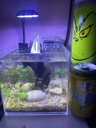 Nano acuario para peces o plantas