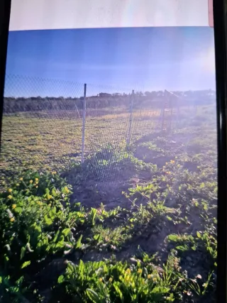 Parcela rústica con vallado