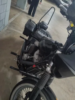 Harley Softail Standard 2020 107 ST1