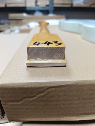 Cuerpo y Mástil Telecaster