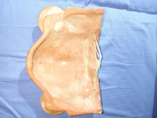 Máscara Decorativa Antigüedad Colección Decoración