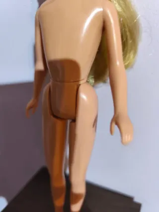 Barbie Skipper Vintage, Sorella Bambola