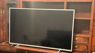 Televisión Negra y Plateada