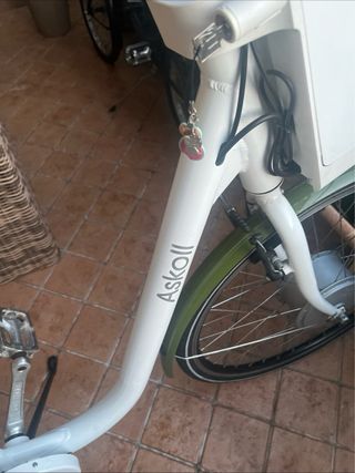 Bici elettrica Asko pedalata assistita
