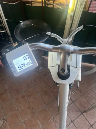 Bici elettrica Asko pedalata assistita