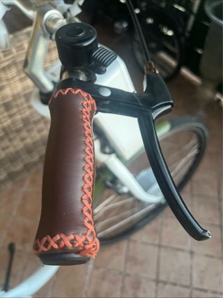 Bici elettrica Asko pedalata assistita