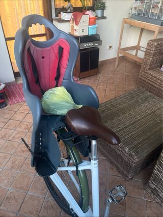 Bici elettrica Asko pedalata assistita