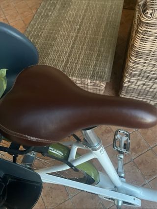 Bici elettrica Asko pedalata assistita