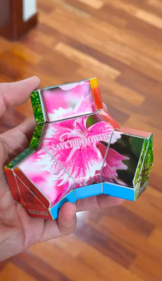 RUBIK PLATYPUS (edición especial)