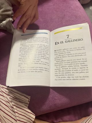 Memorias de Una Gallina Tesoro Mágico Harry Potter