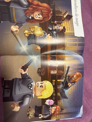 Memorias de Una Gallina Tesoro Mágico Harry Potter