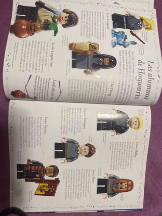 Memorias de Una Gallina Tesoro Mágico Harry Potter