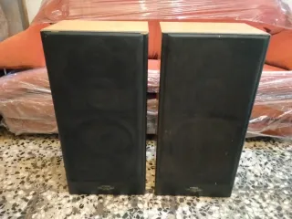 Altavoces Vintage Pioneer CS 995