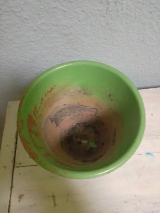 Macetero de barro verde con diseño