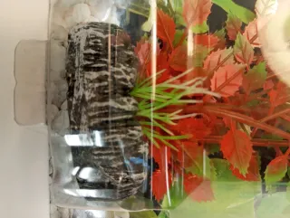 PLANTA ARTIFICIAL ACUARIO 12 CM