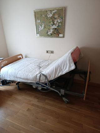 Cama articulada hospitalaria