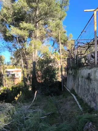 Tierra