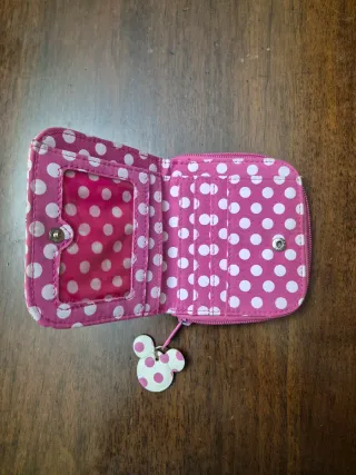 Portafoglio della Disney