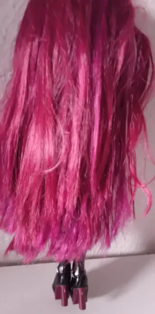 Muñeca Rainbow High. Venta la del pelo granate.