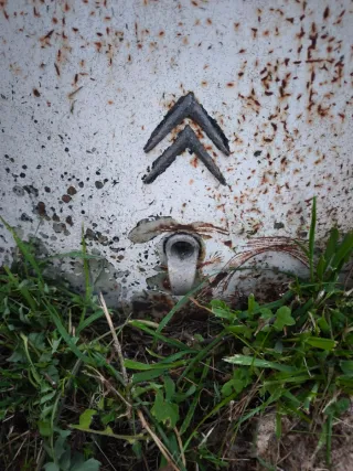 Capó, tapa maletero y aleta trasera Citroen DS 19