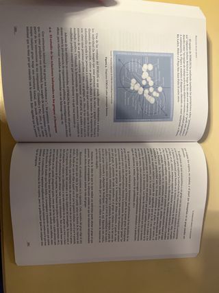 Psicología de los grupos (GRADO) (Spanish Edition)