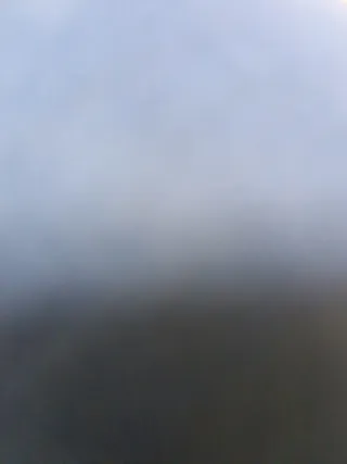 Losi 8ight RTR Coche radiocontrolado