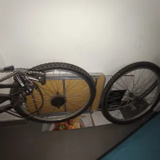 Bicicleta de Montaña