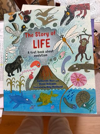 Libros infantiles varios