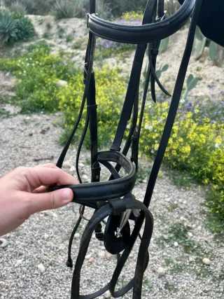 Montura Inglesa + Lote