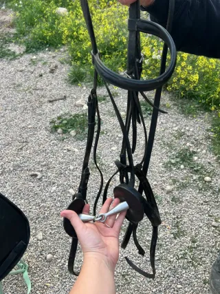 Montura Inglesa + Lote