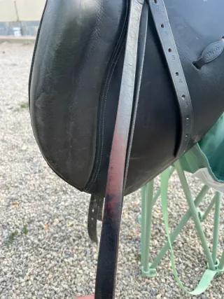 Montura Inglesa + Lote