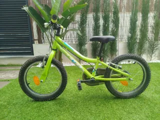Bicicleta Infantil Biocycle 16