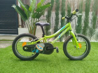 Bicicleta Infantil Biocycle 16
