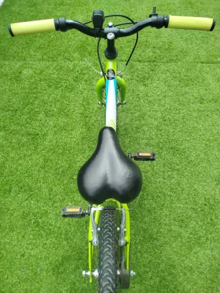 Bicicleta Infantil Biocycle 16