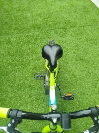 Bicicleta Infantil Biocycle 16