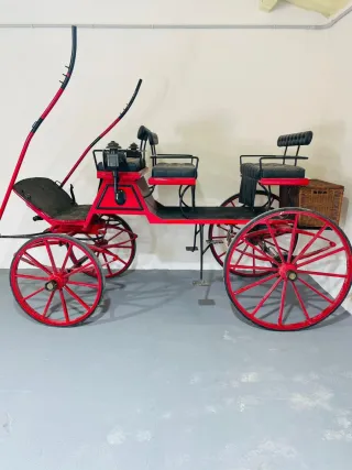 COCHE DE CABALLO TIPO BREAK