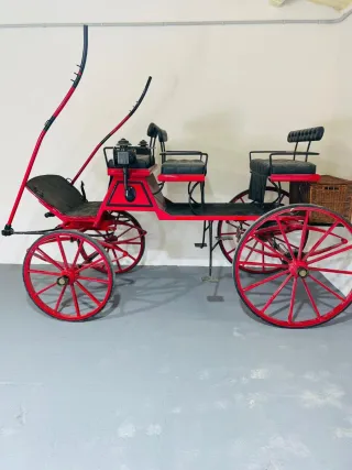 COCHE DE CABALLO TIPO BREAK