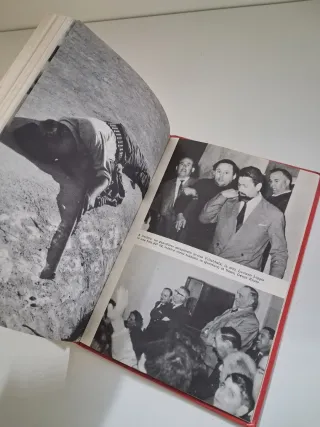-Libro- Le ossa di zucchero