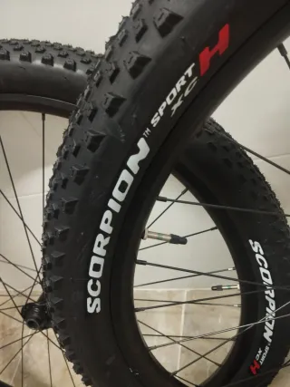 Ruedas 29  Microspline