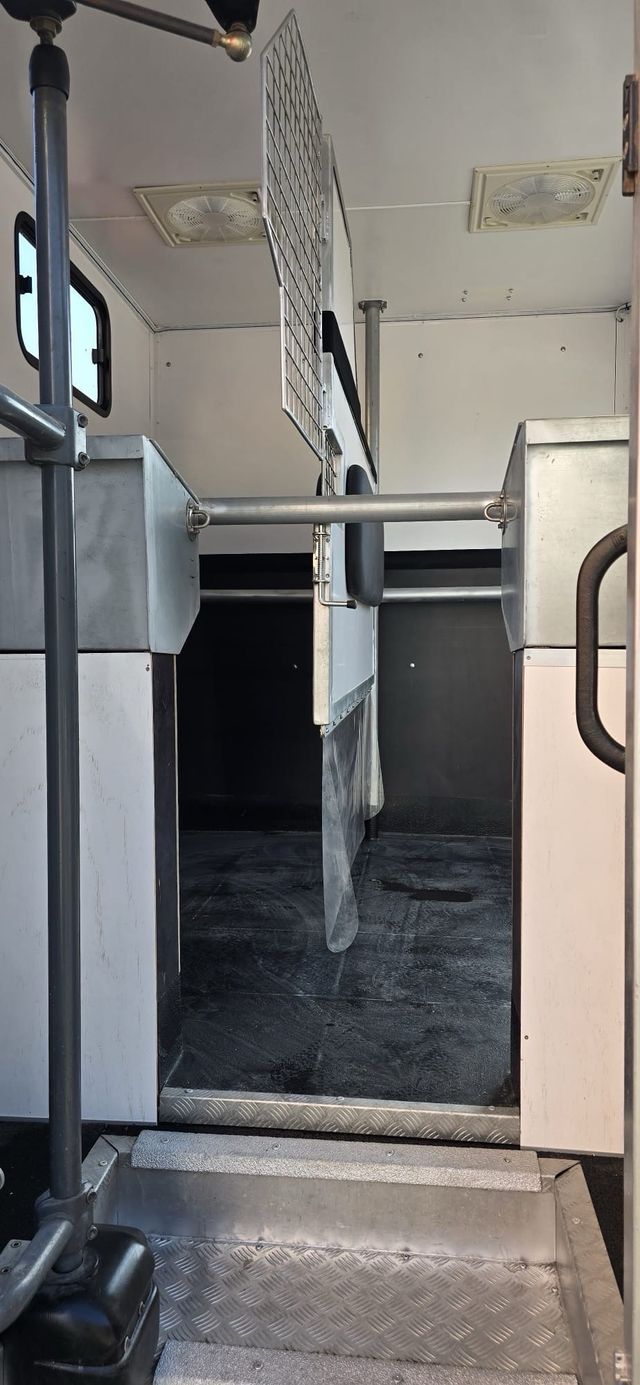 Camión para caballos caravana