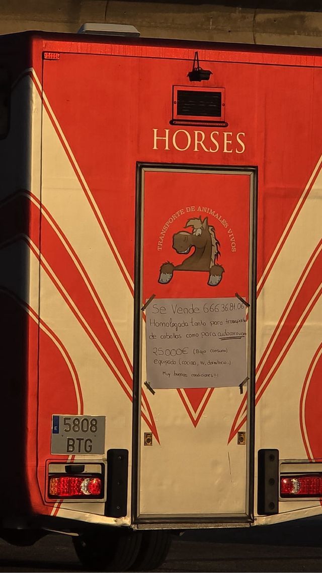 Camión para caballos caravana