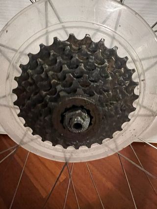 Cerchi mtb 26” Campagnolo vintage