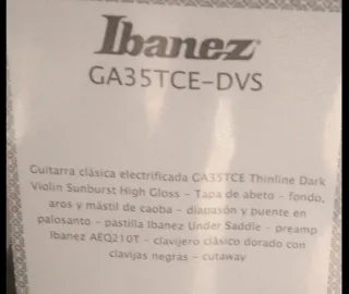 Guitarra Clásica Ibanez con Funda