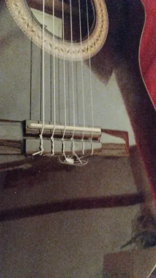 Guitarra Clásica Ibanez con Funda