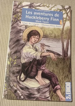 Les aventures de Huckleberry Finn