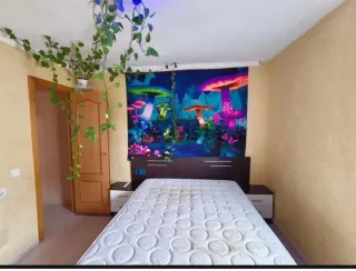 Piso, contacto con propietario