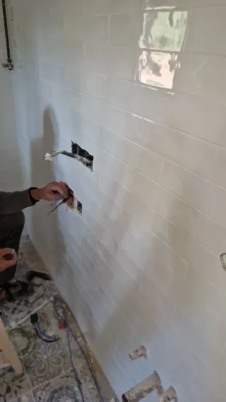 Reformas integrales , económicas