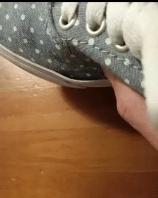 Vans Scarpe Donna Fantasia Pois Blu