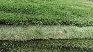 Cesped Artificial Nuevo 2x1m 5€ m2  Rollos a 10€