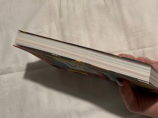 DESTROZA ESTE DIARIO